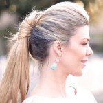 Simple Braid With Poof Hairstyle knotted