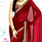 Sari Blouse Design for this year