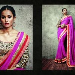 Saree Blouse Design for this year