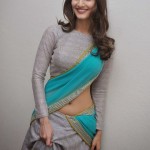 saree blouse with full sleeves