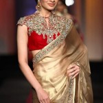 High Neck Blouse Designs for your sari this year