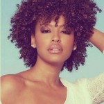 Beautiful Cuts for Black Curly Hair: Short Hairstyles For Naturally curly hairs