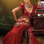 Extravagant Puff Sleeves Blouse for your sari