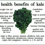 kale-benefits